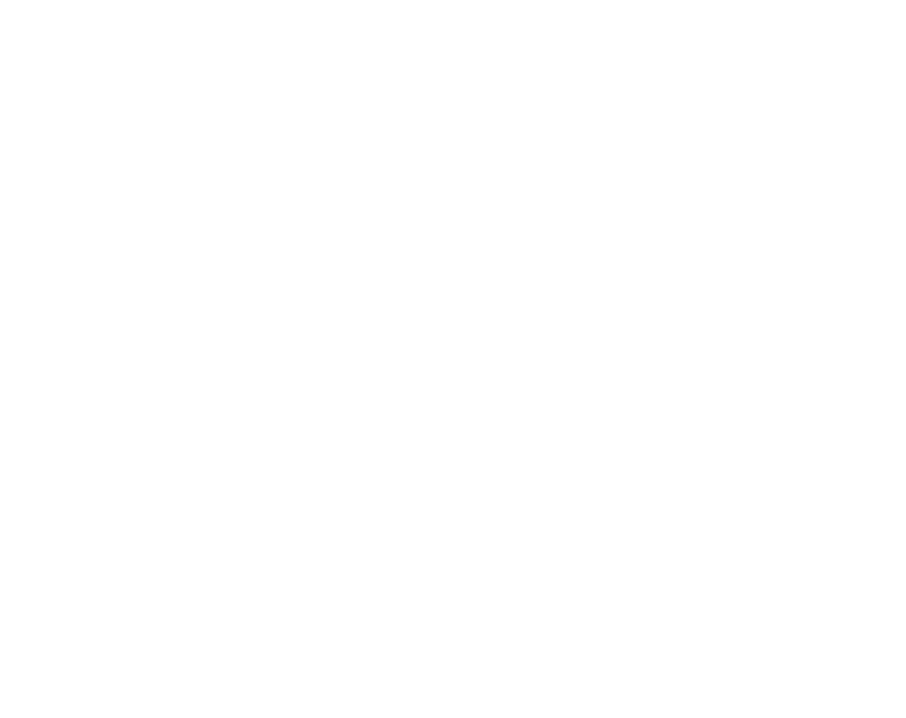 SCIENTIK